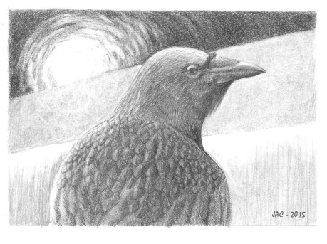 Moonlit Crow